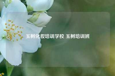 玉樹化妝培訓(xùn)學(xué)校 玉樹培訓(xùn)班